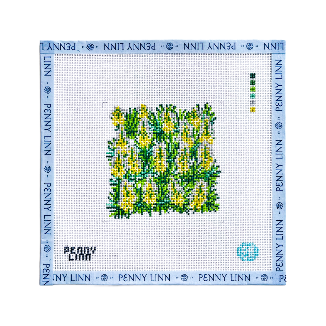 State Flowers - New Mexico