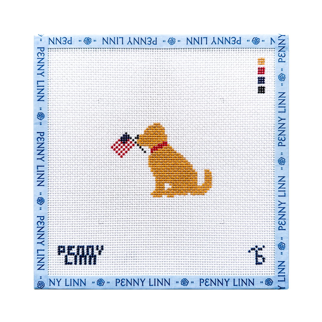 Golden Retriever - July 4th