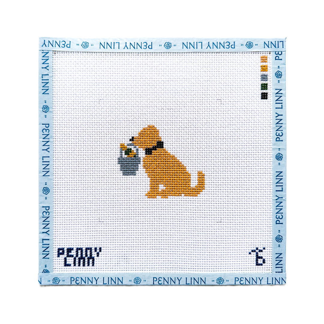 Golden Retriever - New Year's Eve