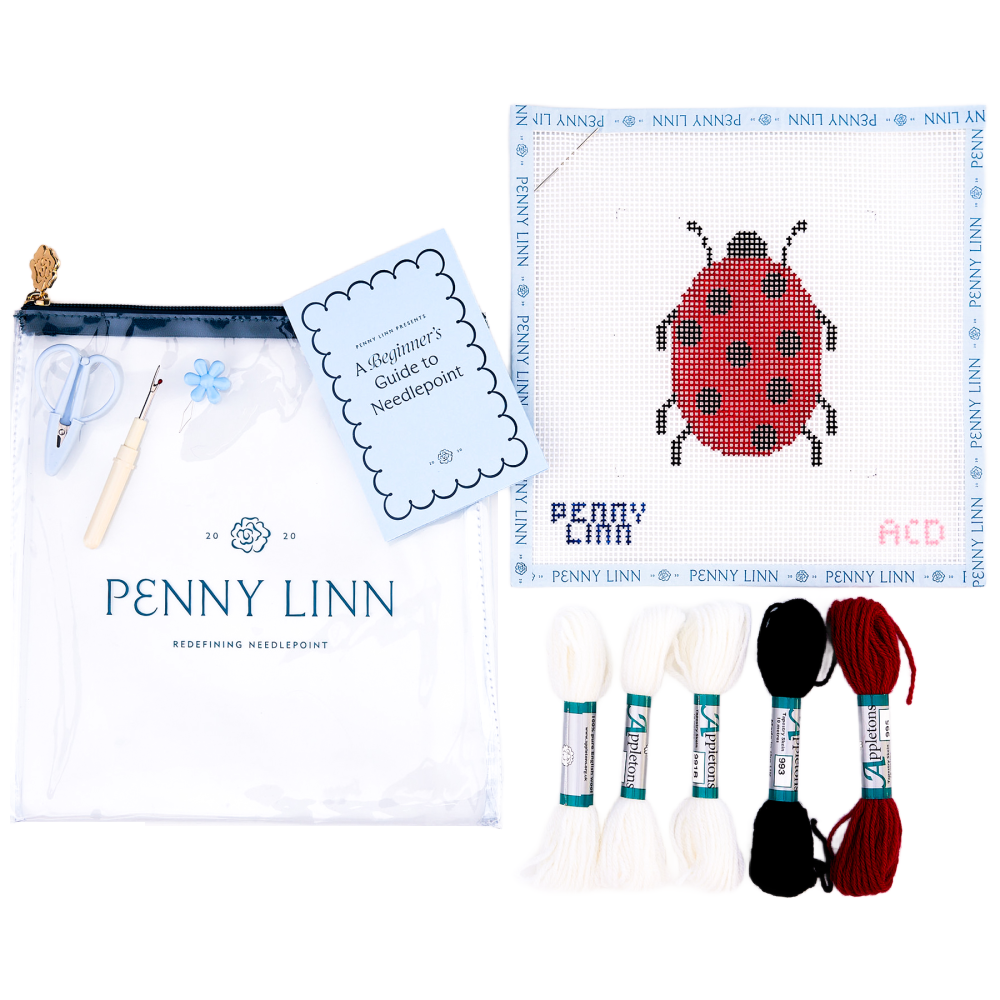 Kids Kit - Lady Bug