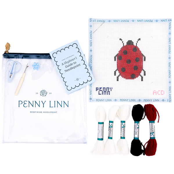 Beginner Kit - Lady Bug