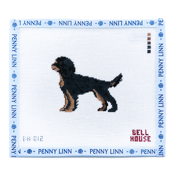 Cavalier - Black