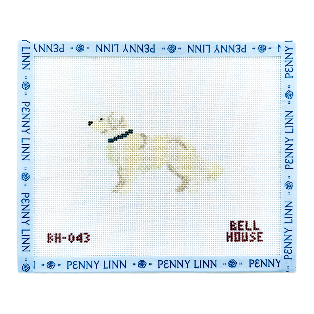 Golden Retriever - Cream