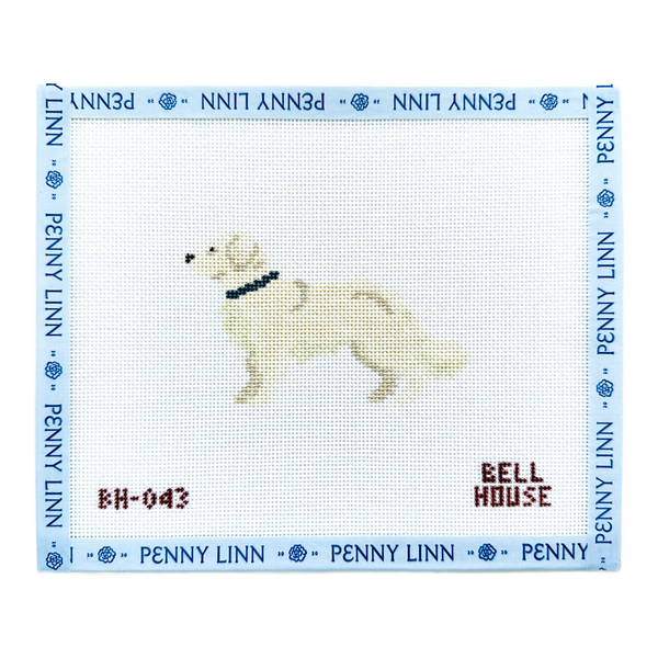 Golden Retriever - Cream