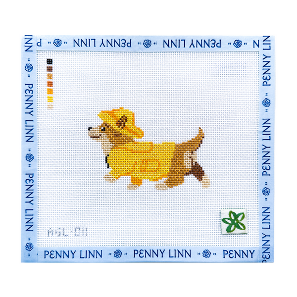 Corgi in a Raincoat