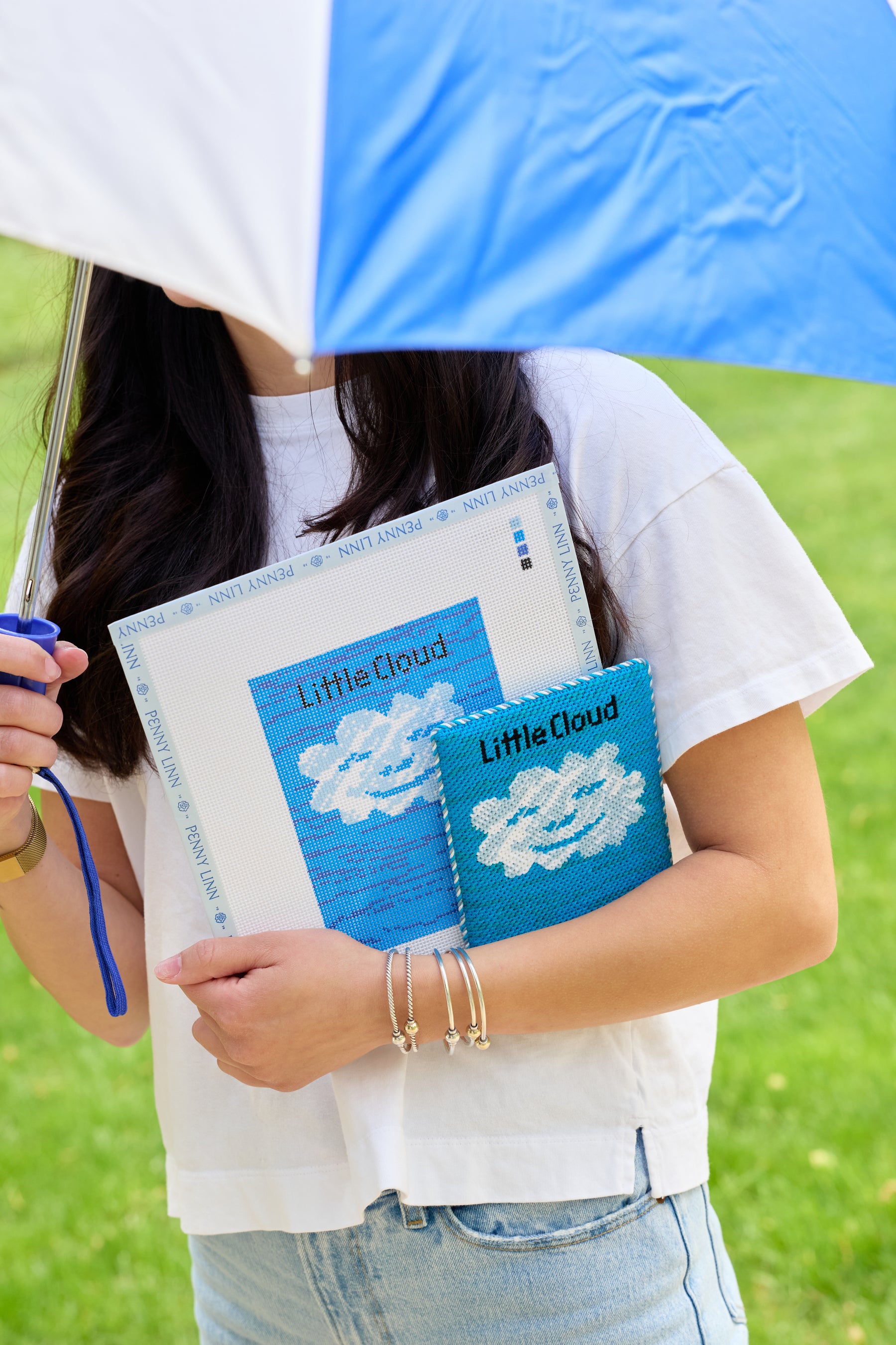 Little Cloud Book Cover