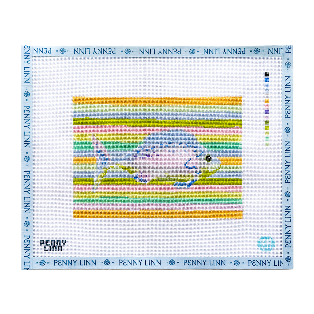 Rainbow Fish