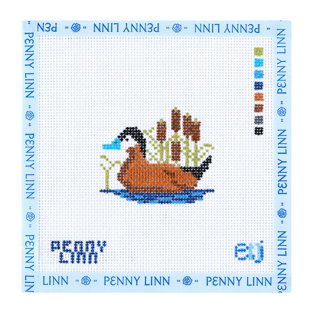 Ruddy Duck