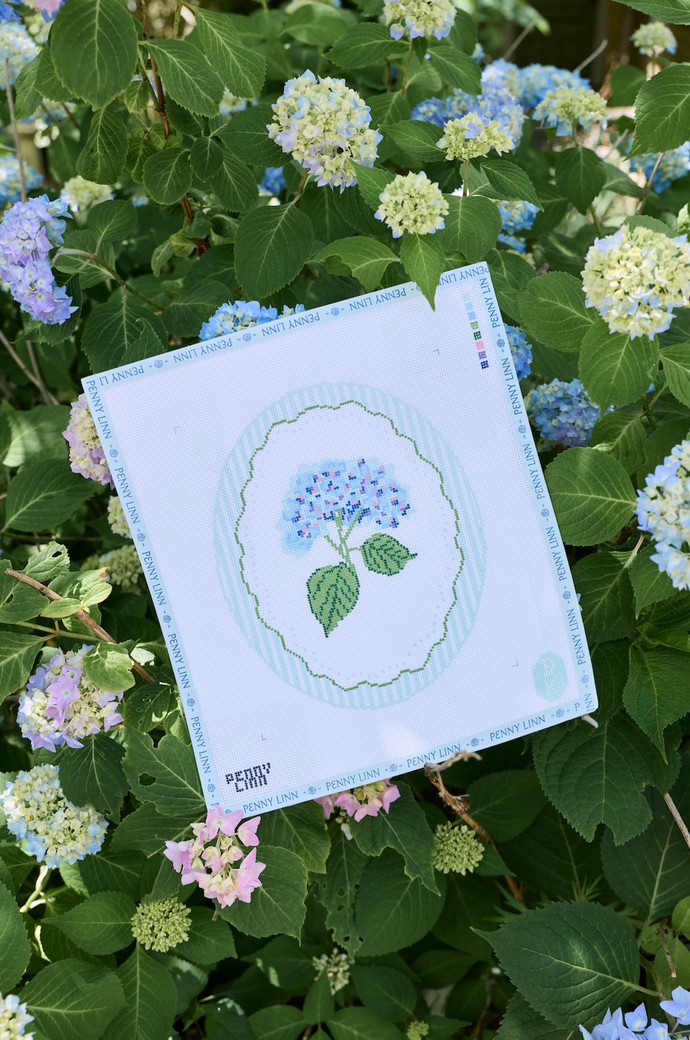 Hydrangea Oval