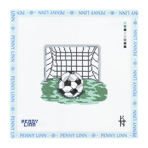 Soccer Ball & Net