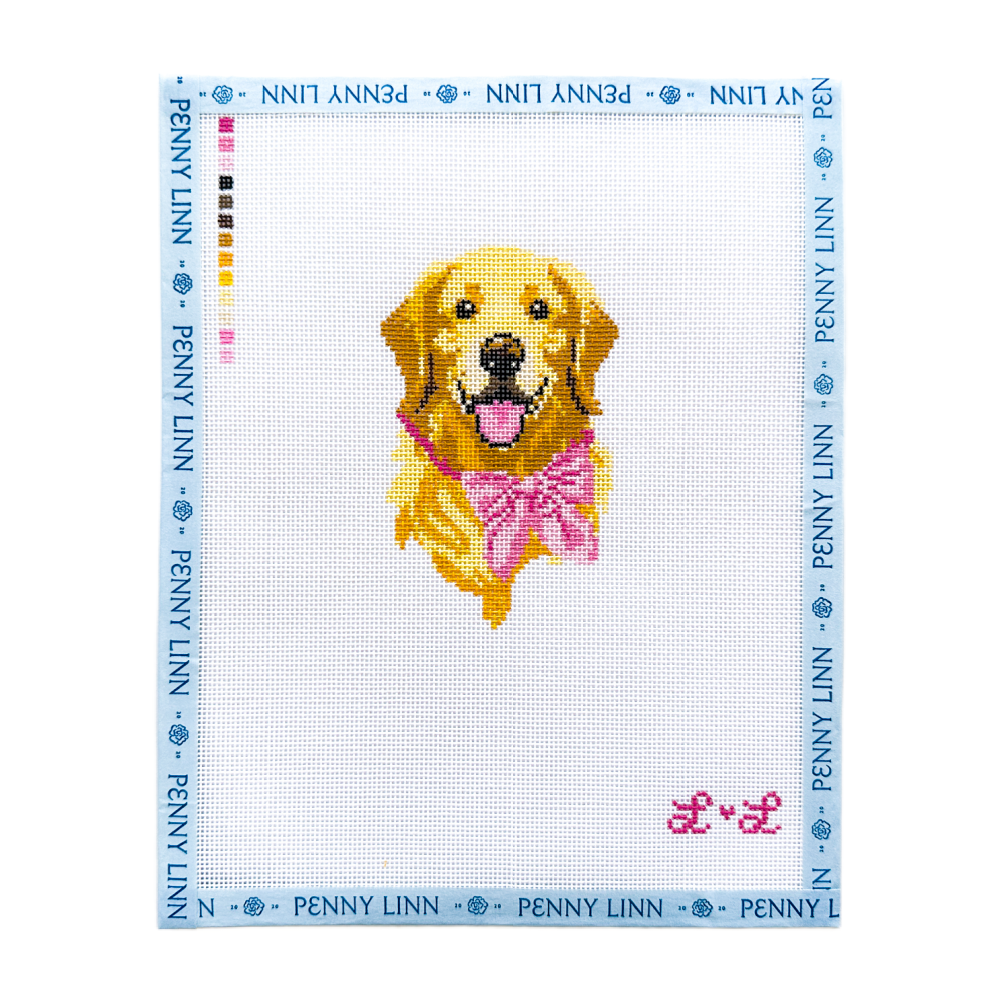 Golden Retriever with Pink Bow Collar