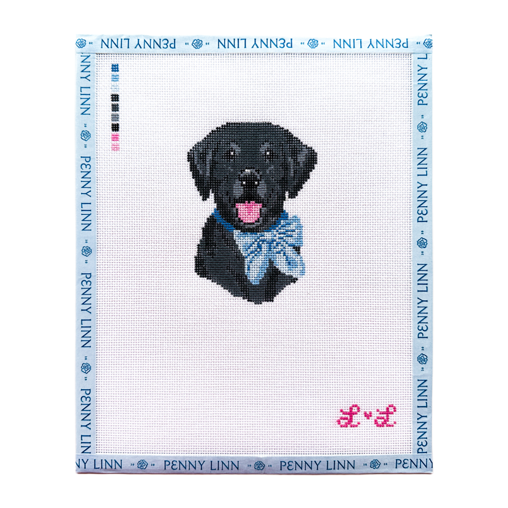 Lab with Blue Bow Collar