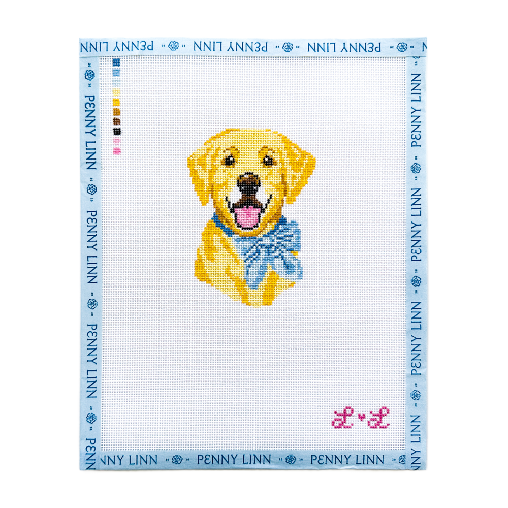 Lab with Blue Bow Collar