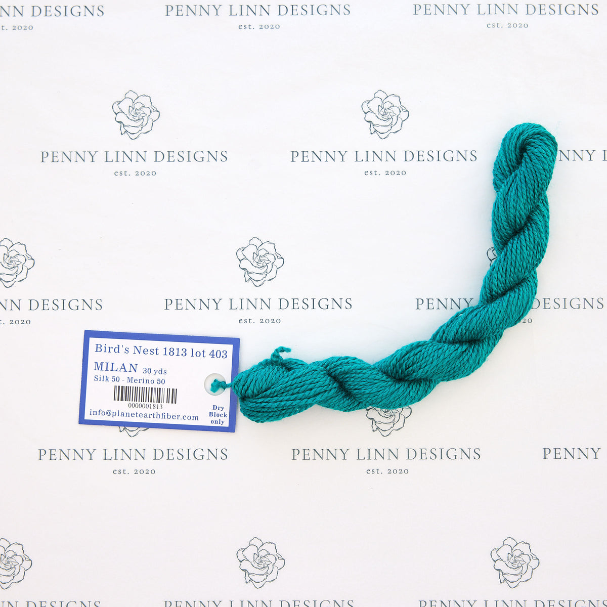 planet earth milan thread needlepoint – Penny Linn