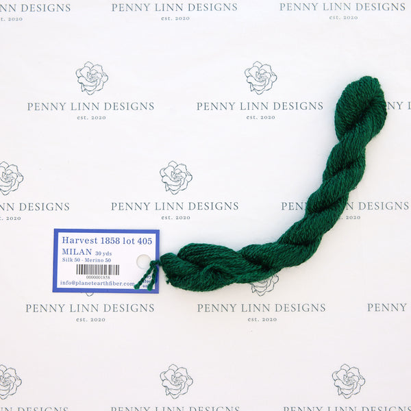 planet earth milan thread needlepoint – Penny Linn