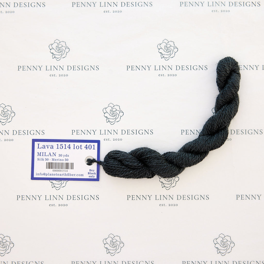 planet earth milan thread needlepoint – Penny Linn