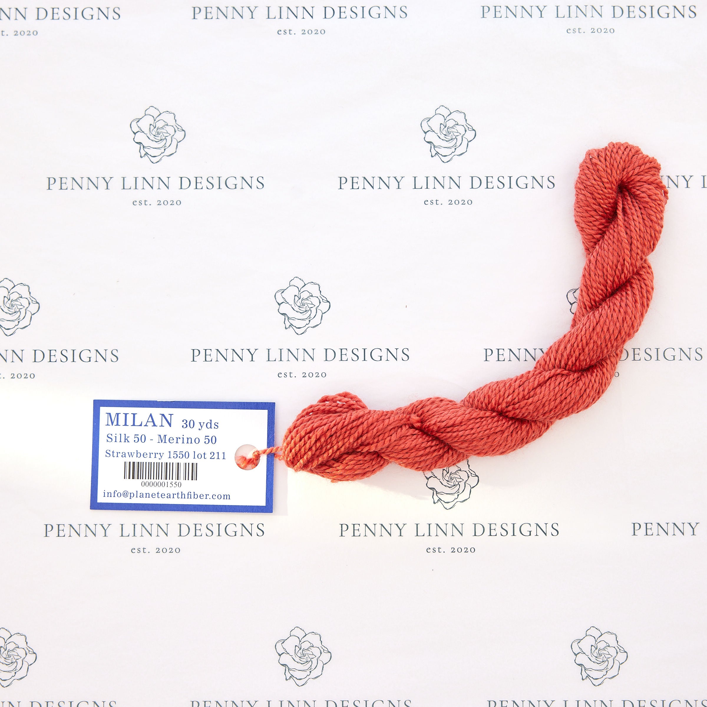 planet earth milan thread needlepoint – Penny Linn