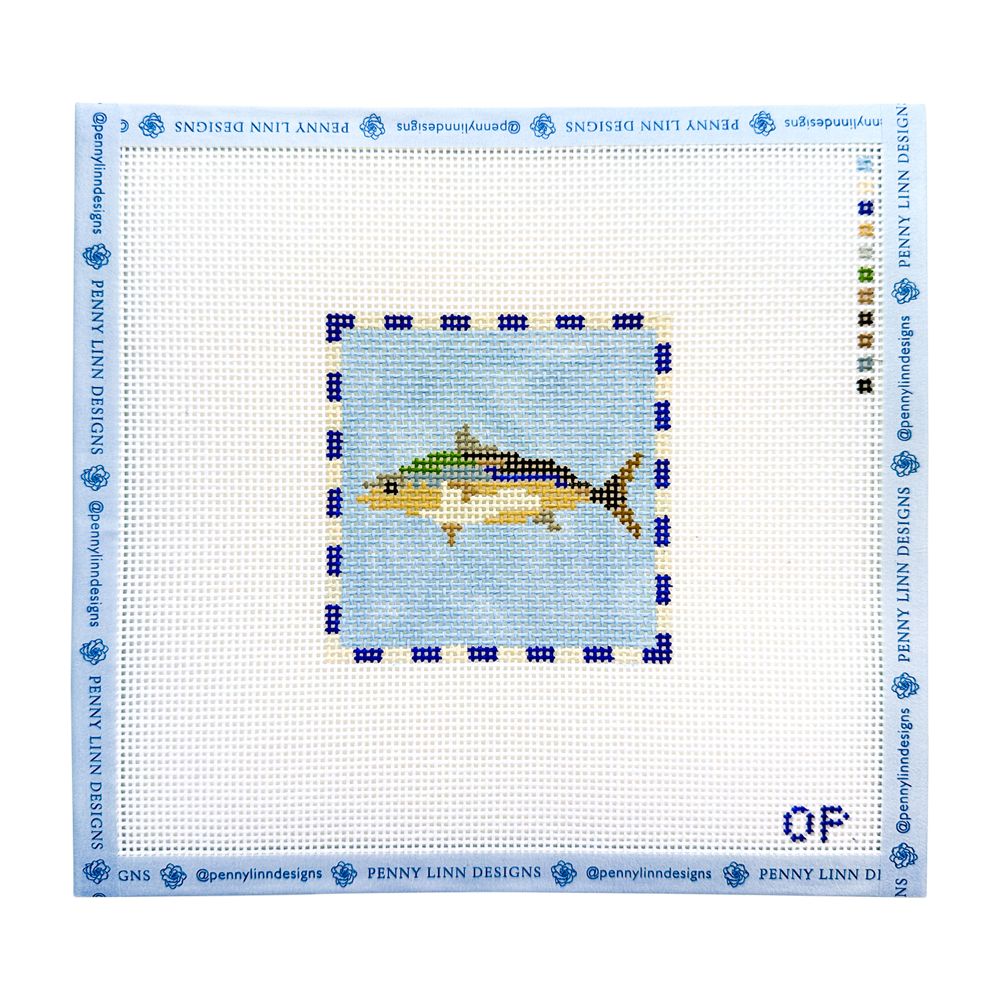 Fish with Border