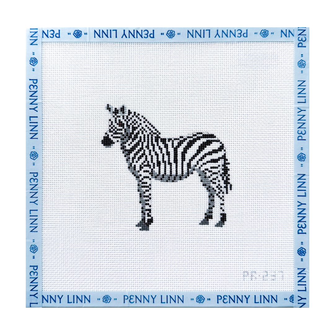 African Zebra