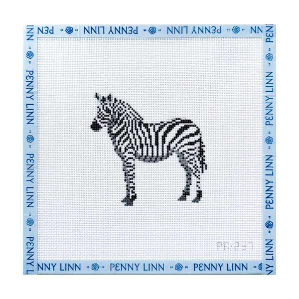 African Zebra