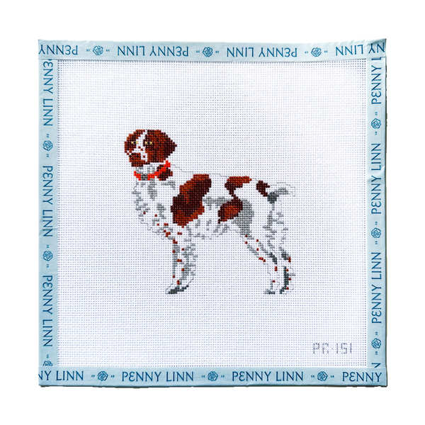 Brittany Spaniel