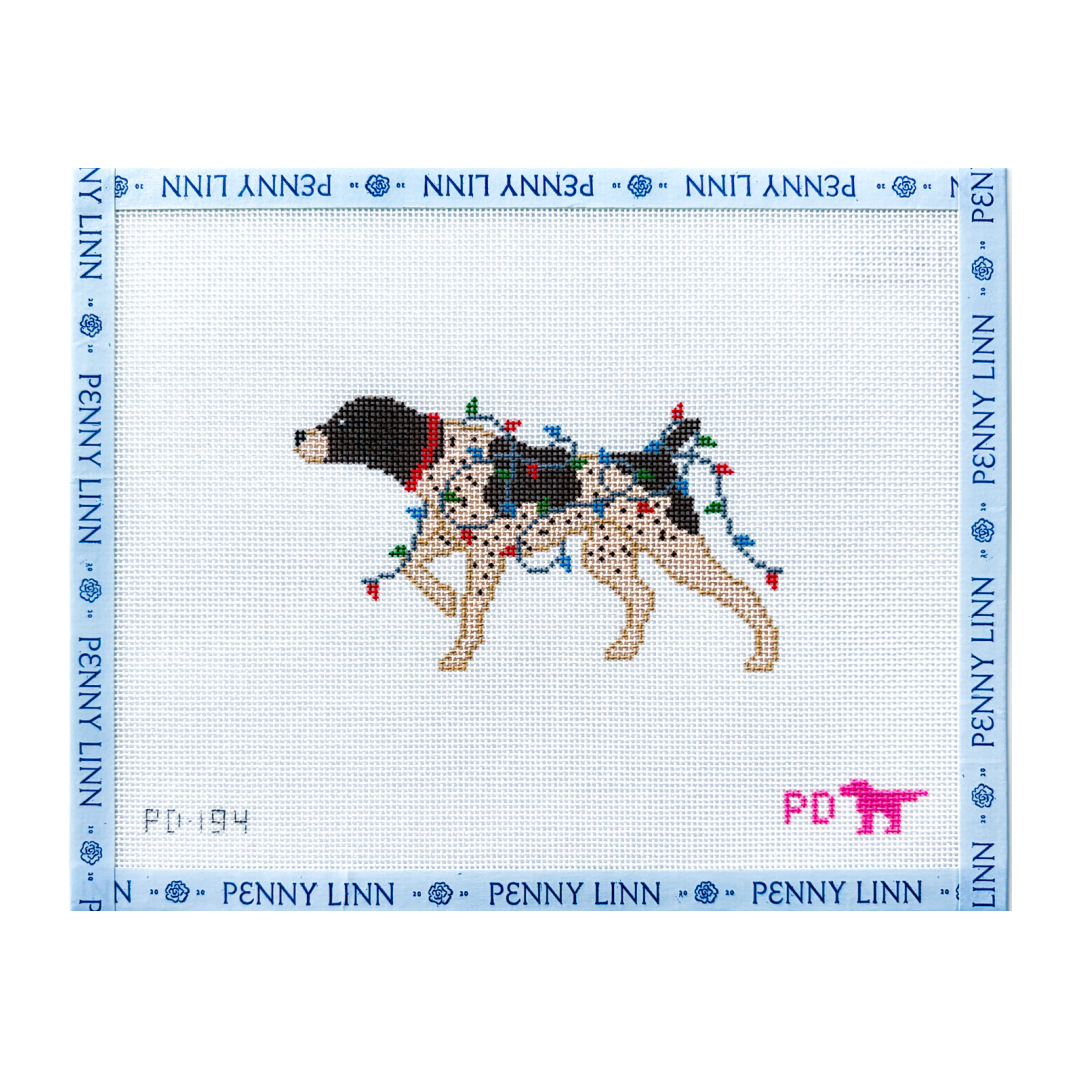 German Shorthaired Pointer Wrapped in Lights