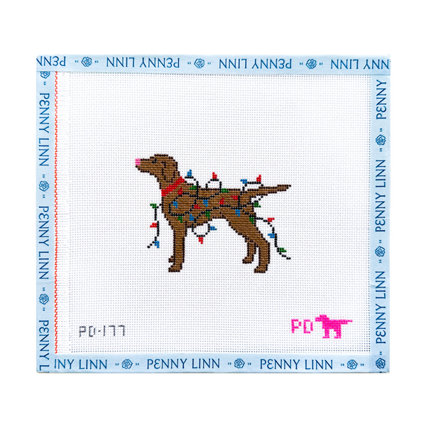 Vizsla Wrapped in Lights – Penny Linn