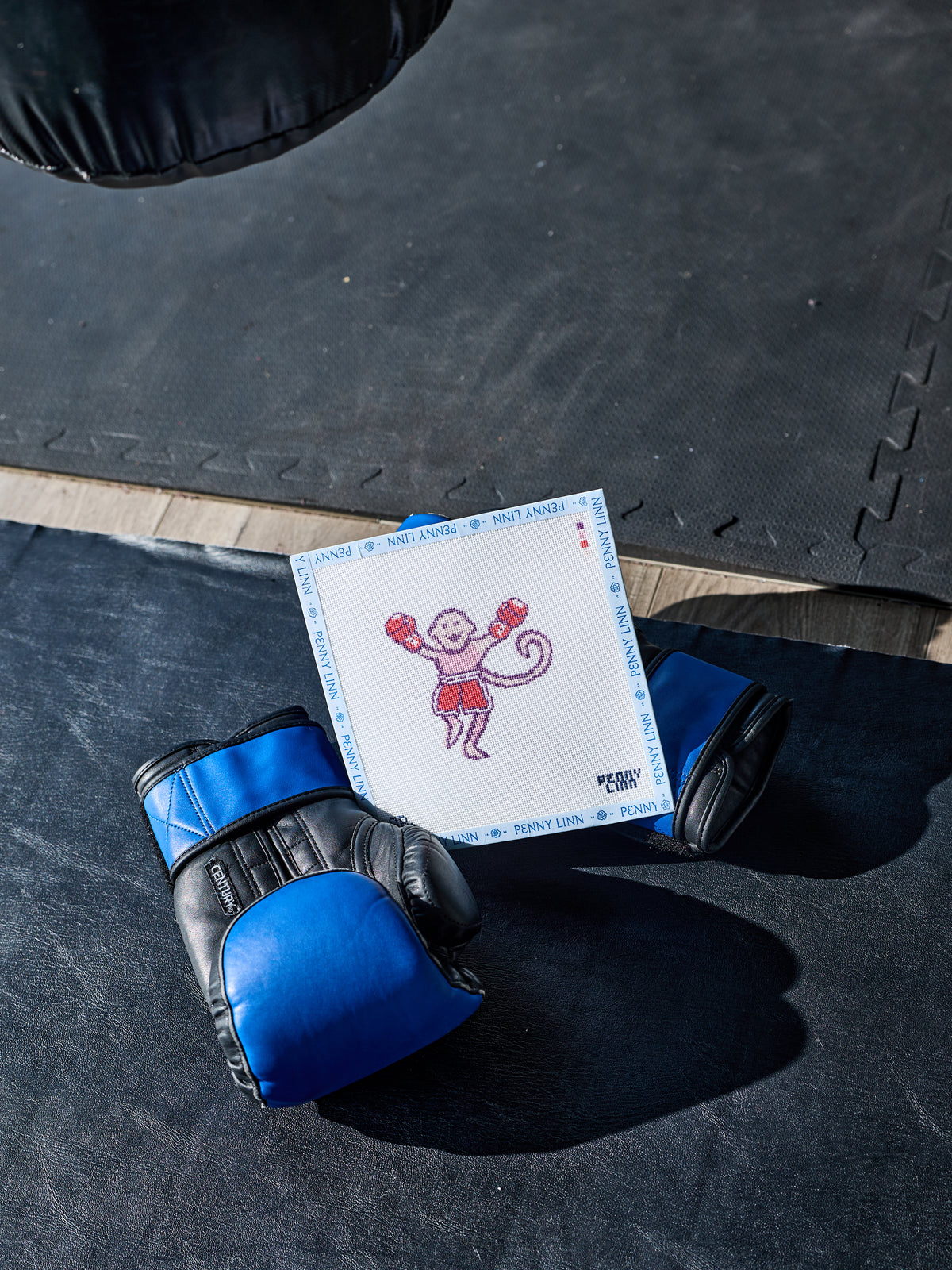 Philly Boxer Monkey