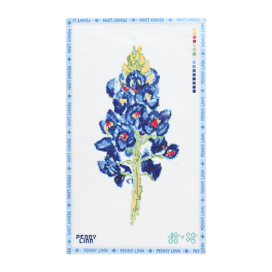 Bluebonnet