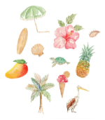 Sunshine Coast Icons