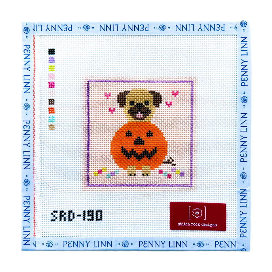 Pug in a Pumpkin