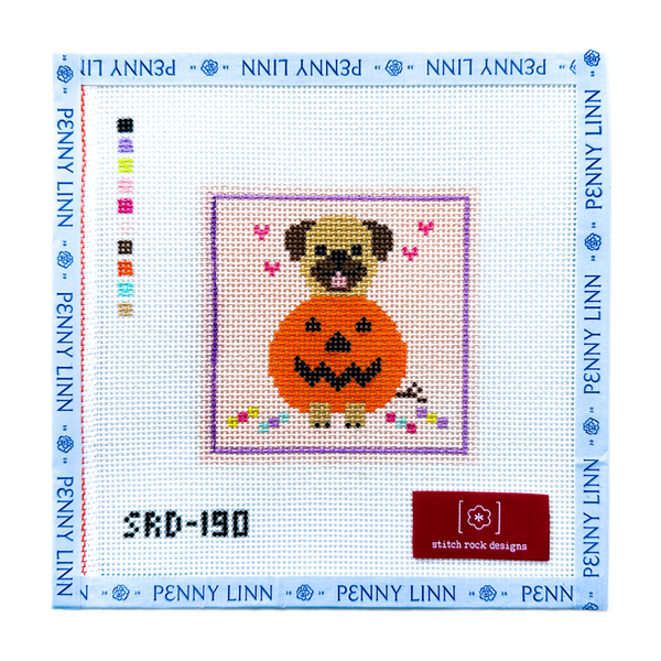Pug in a Pumpkin