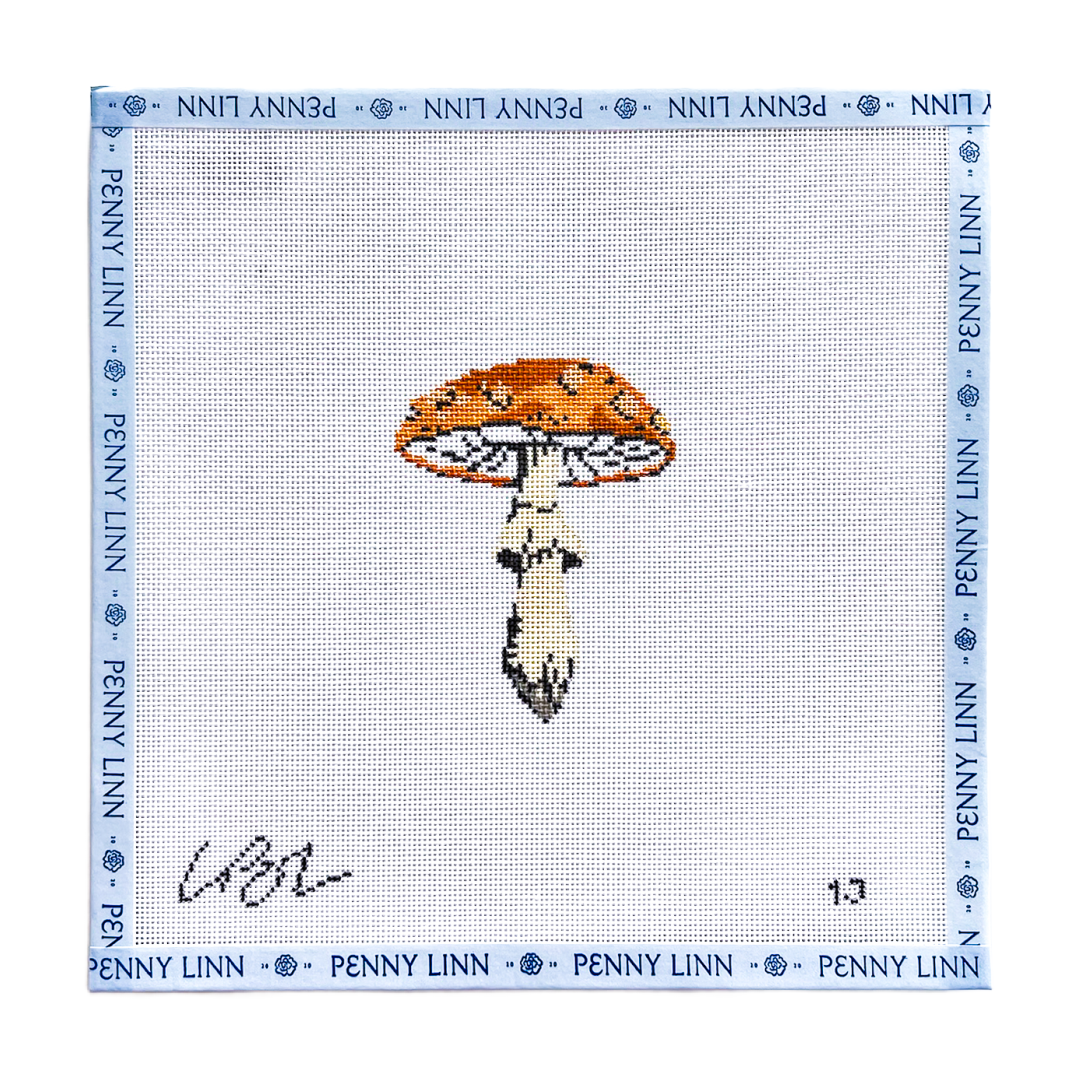 Orange Mushroom