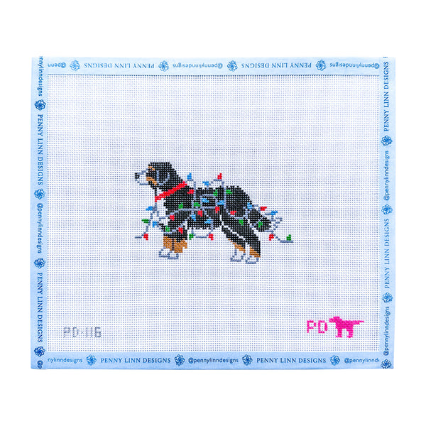 Bernese Mountain Dog Wrapped in Lights