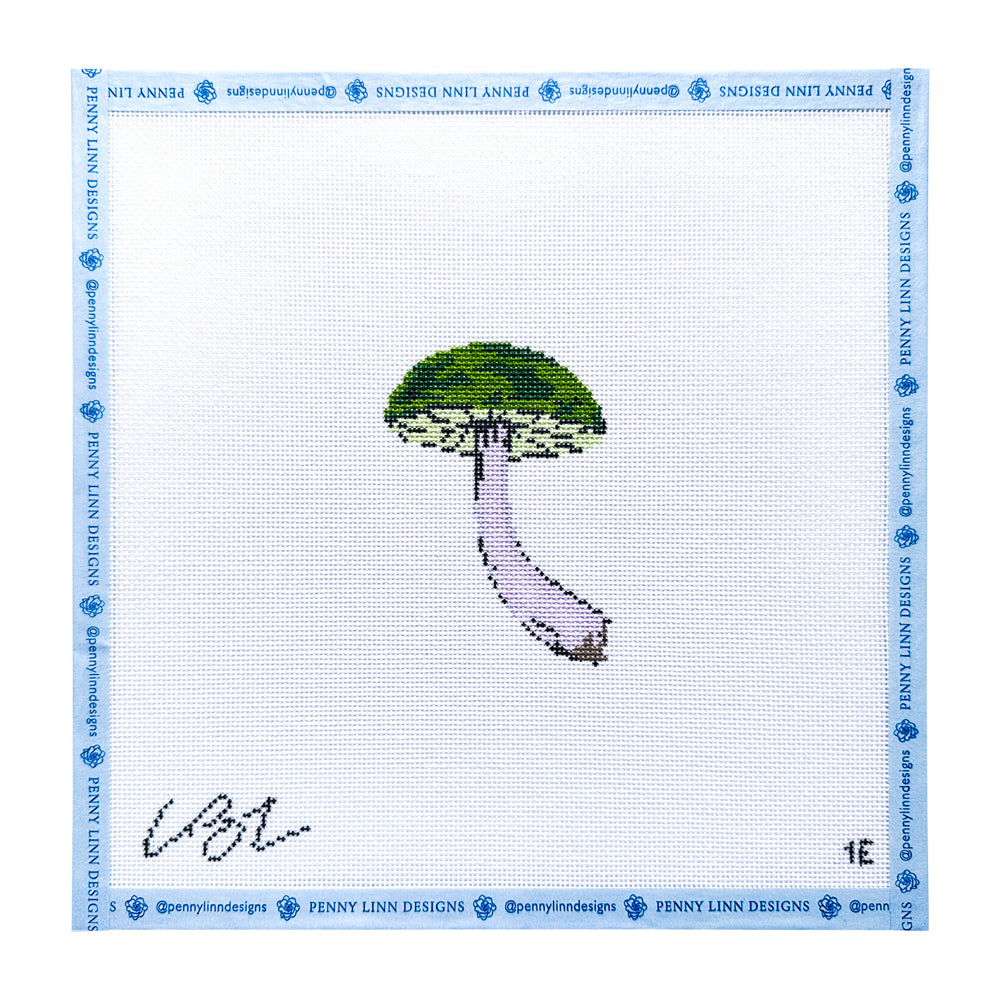 Forest Mushroom