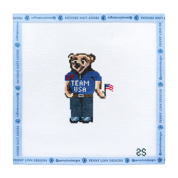 Team USA Bear